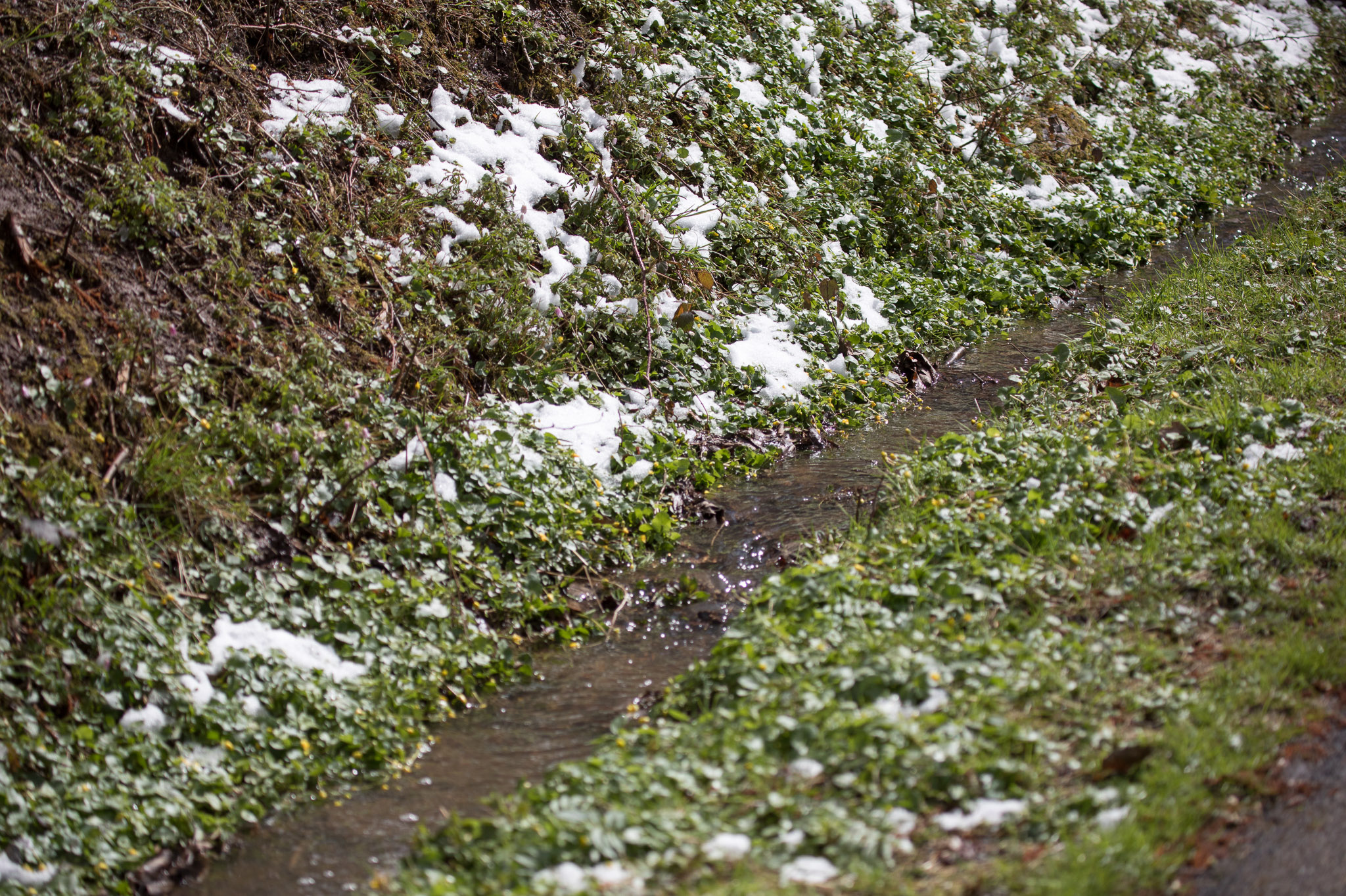 20220409142815 RD4 6408